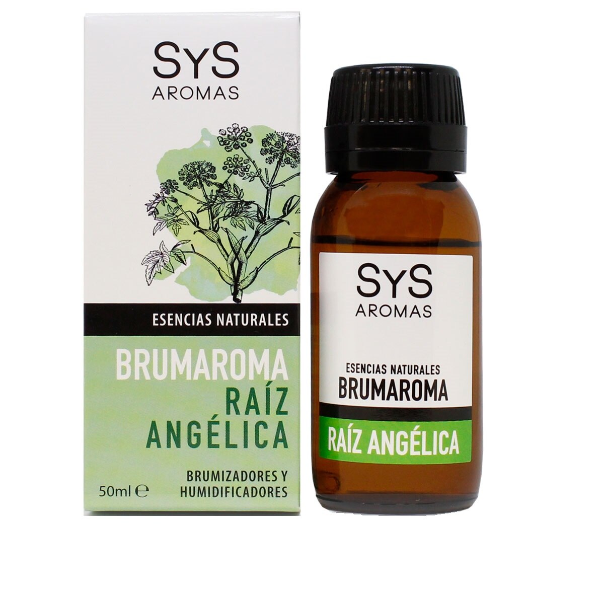 Esenta naturala Brumaroma difuzor aromaterapie / umidificator, Angelica 50 ml