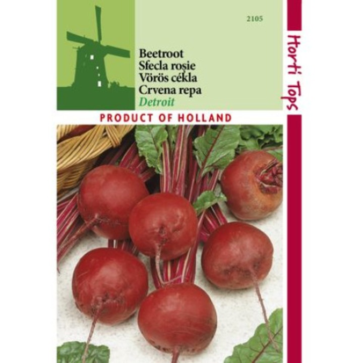 Seminte, Holland Farming, Sfecla Rosie, Detroit, 25G