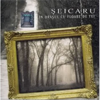 Vasile Seicaru - In orasul cu flori de tei (CD) Vasile Seicaru - In orasul cu flori de tei (CD)