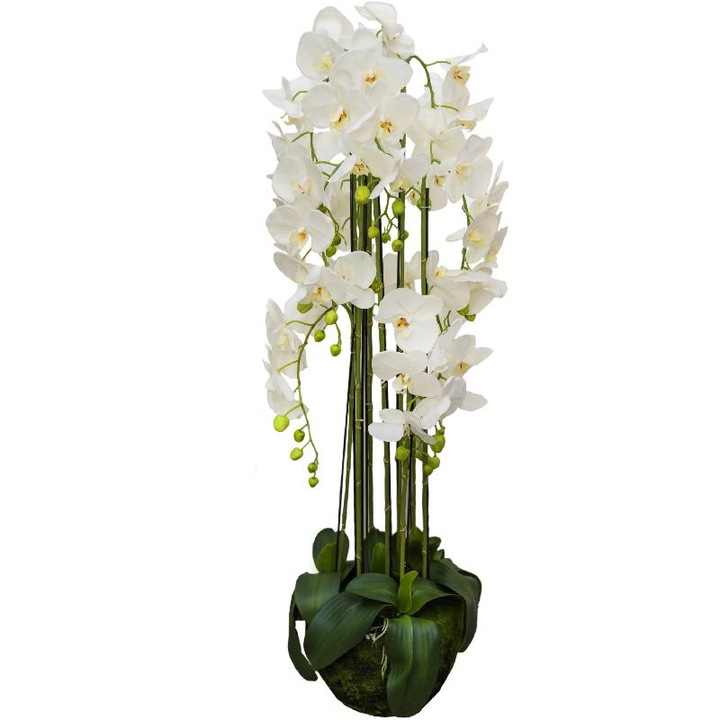 Орхидея TONY'S DÉCOR, 117см