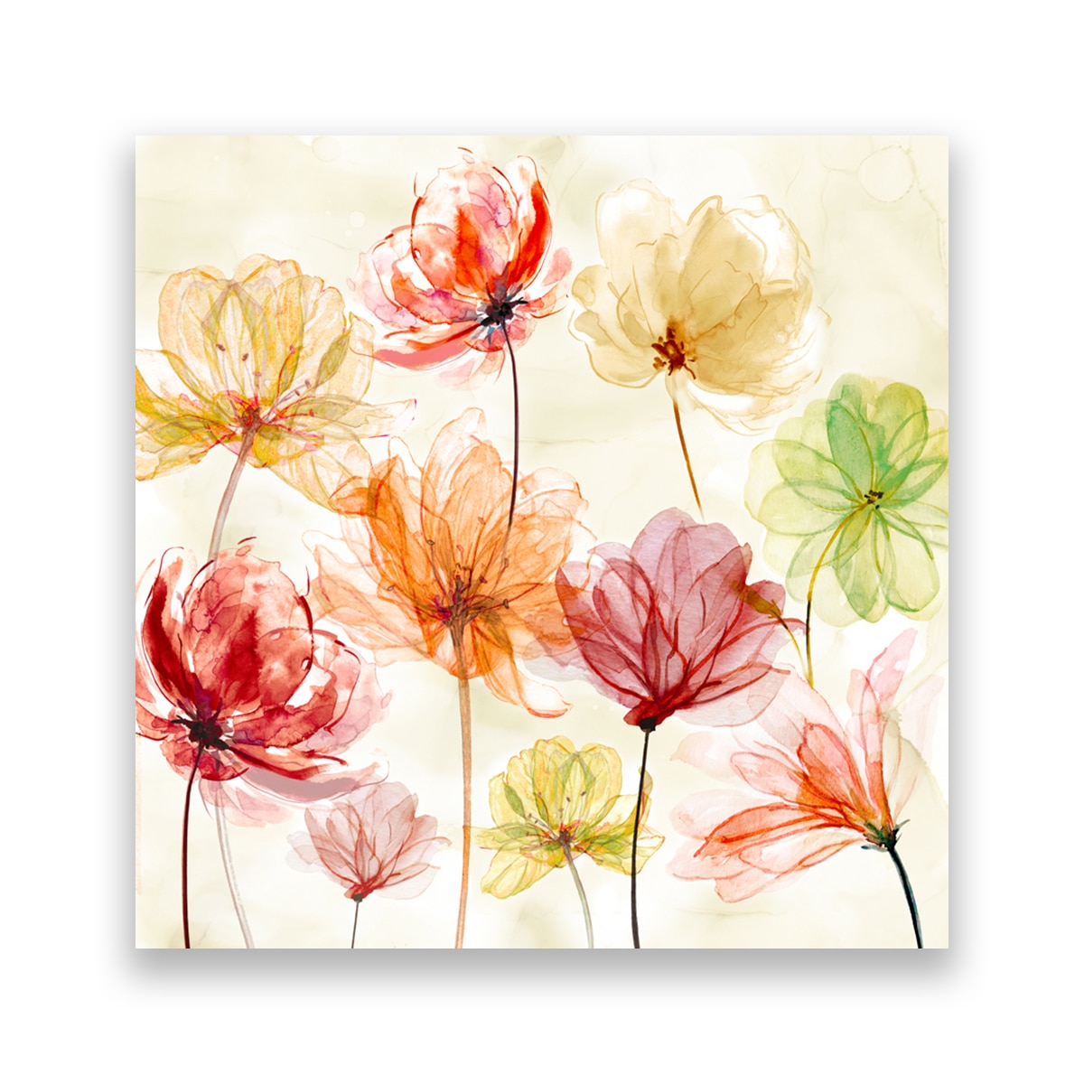 Tablou Canvas - Floral, Flori de maci, Pictura, Multicolor, 100 x 100 cm