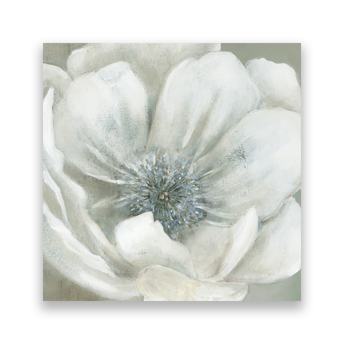 Tablou Canvas - Floral, Flori, Bujori, 100 x 100 cm