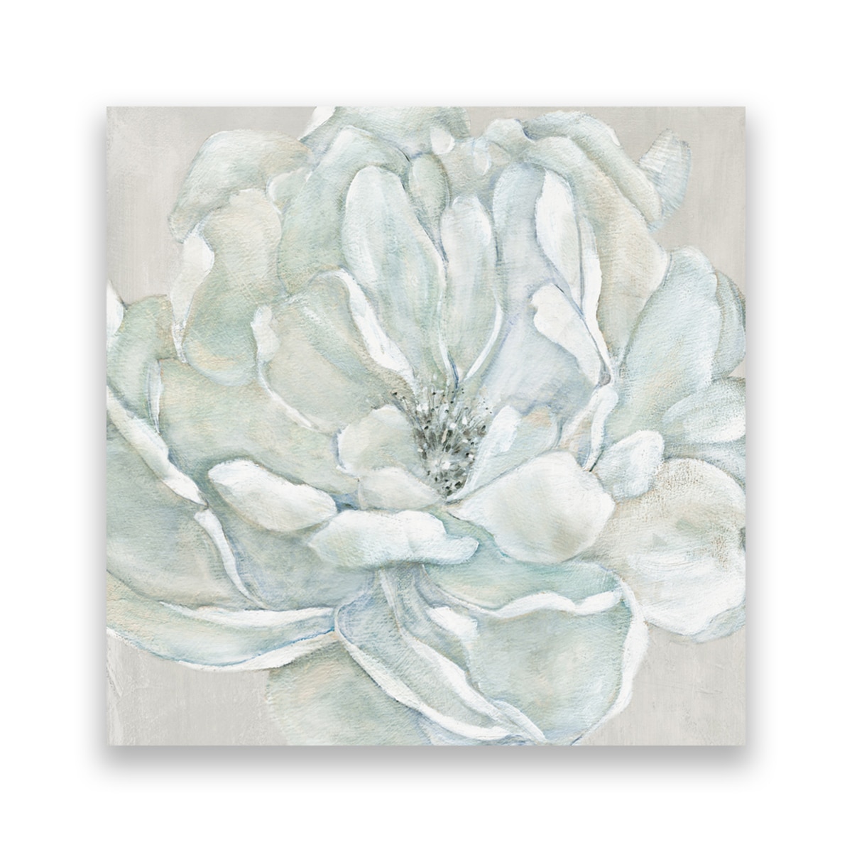 Tablou Canvas - Floral, Flori, Bujori, 100 x 100 cm