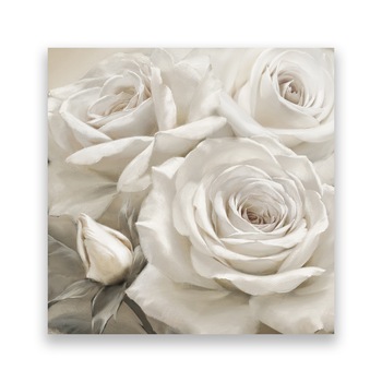 Tablou Canvas - Floral, Flori, Trandafir, Alb, 100 x 100 cm Tablou Canvas - Floral, Flori, Trandafir, Alb, 100 x 100 cm