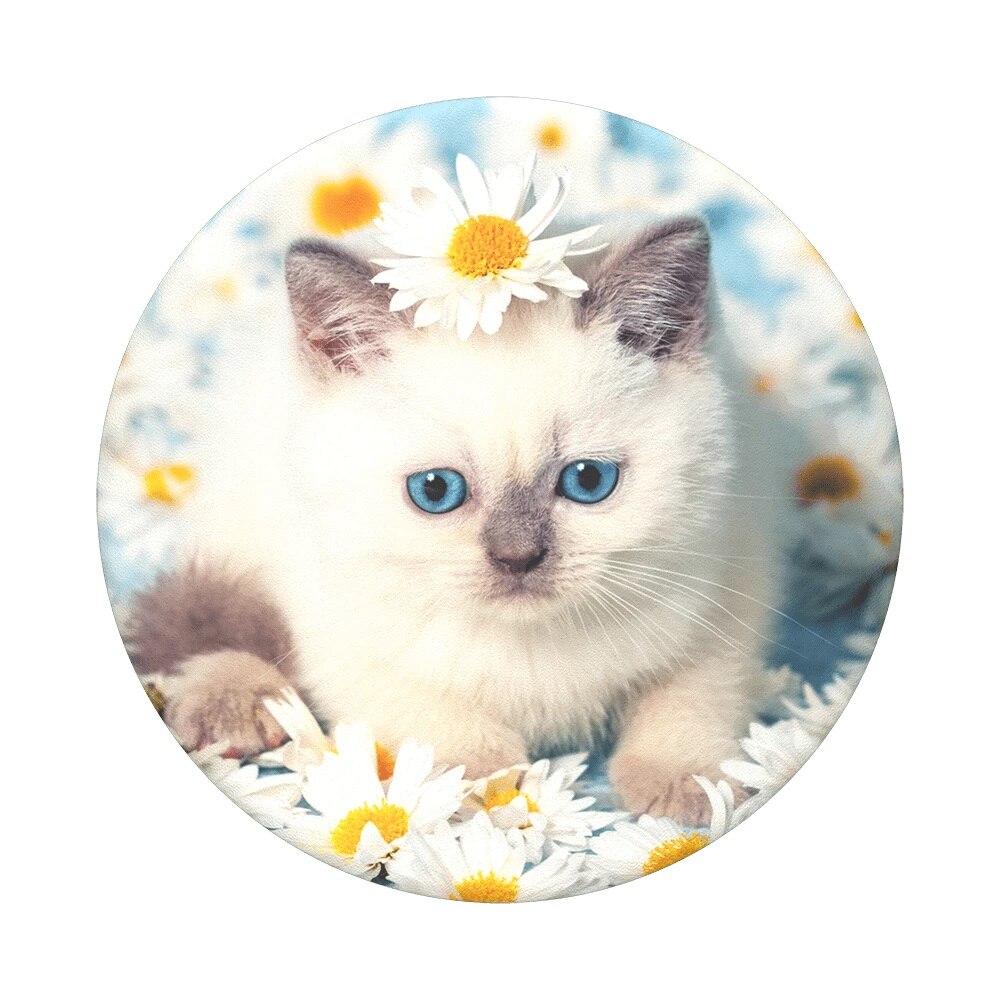 Capac de schimb pentru PopGrip, PopTop Purr-fect Flower, Popsockets original
