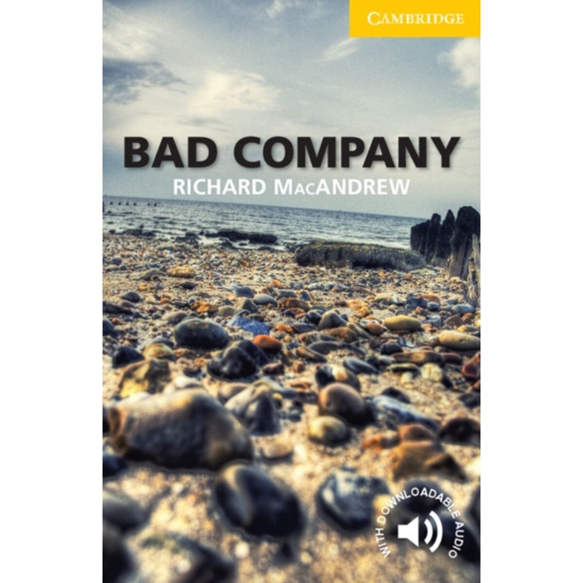 Bad Company Level 2, Elementary Lower intermediate, Richard MacAndrew