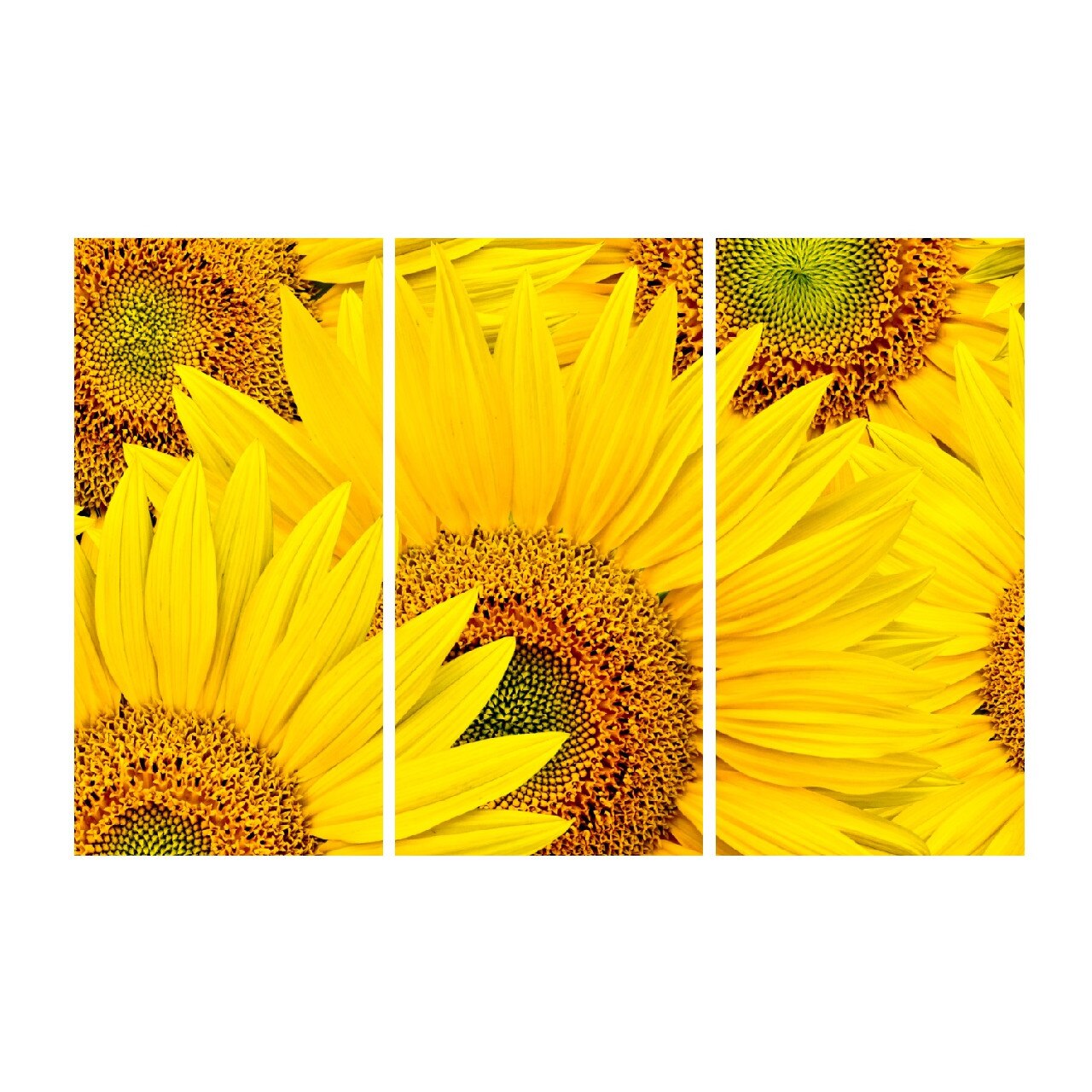 Tablou multicanvas 3 piese Flori 2, 120 x 80 cm