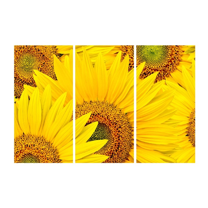 Картина на платно MEDIA, 3 части, Цвете 2, 120 x 80 cm