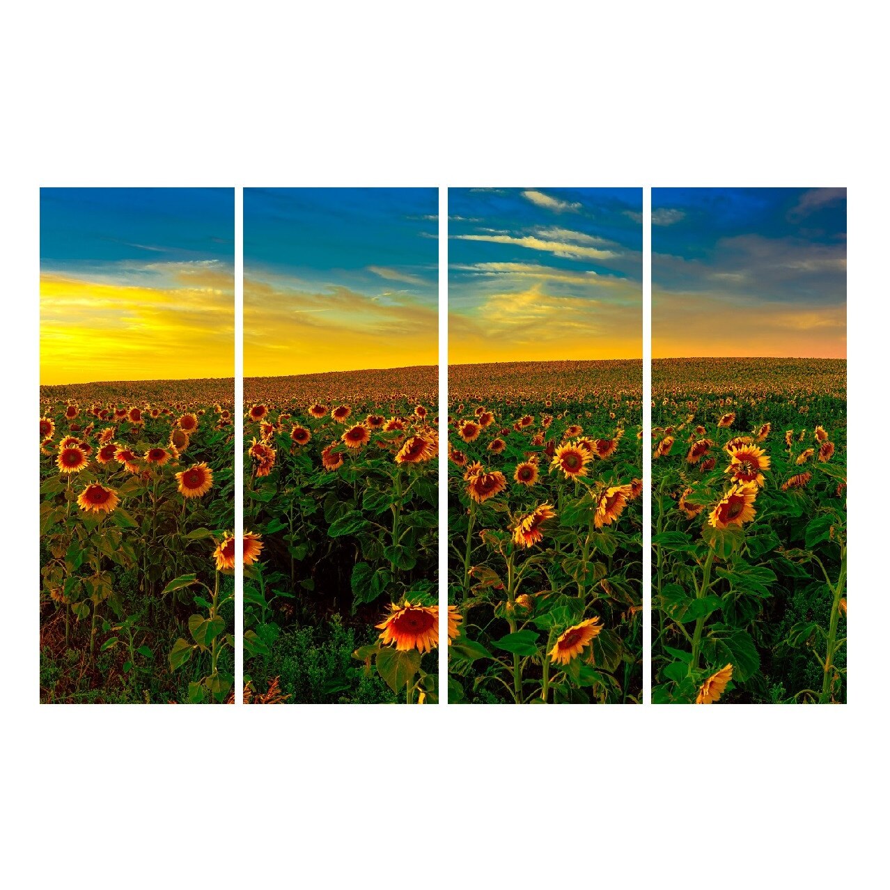 Tablou multicanvas 4 piese Flori 13, 120 x 85 cm