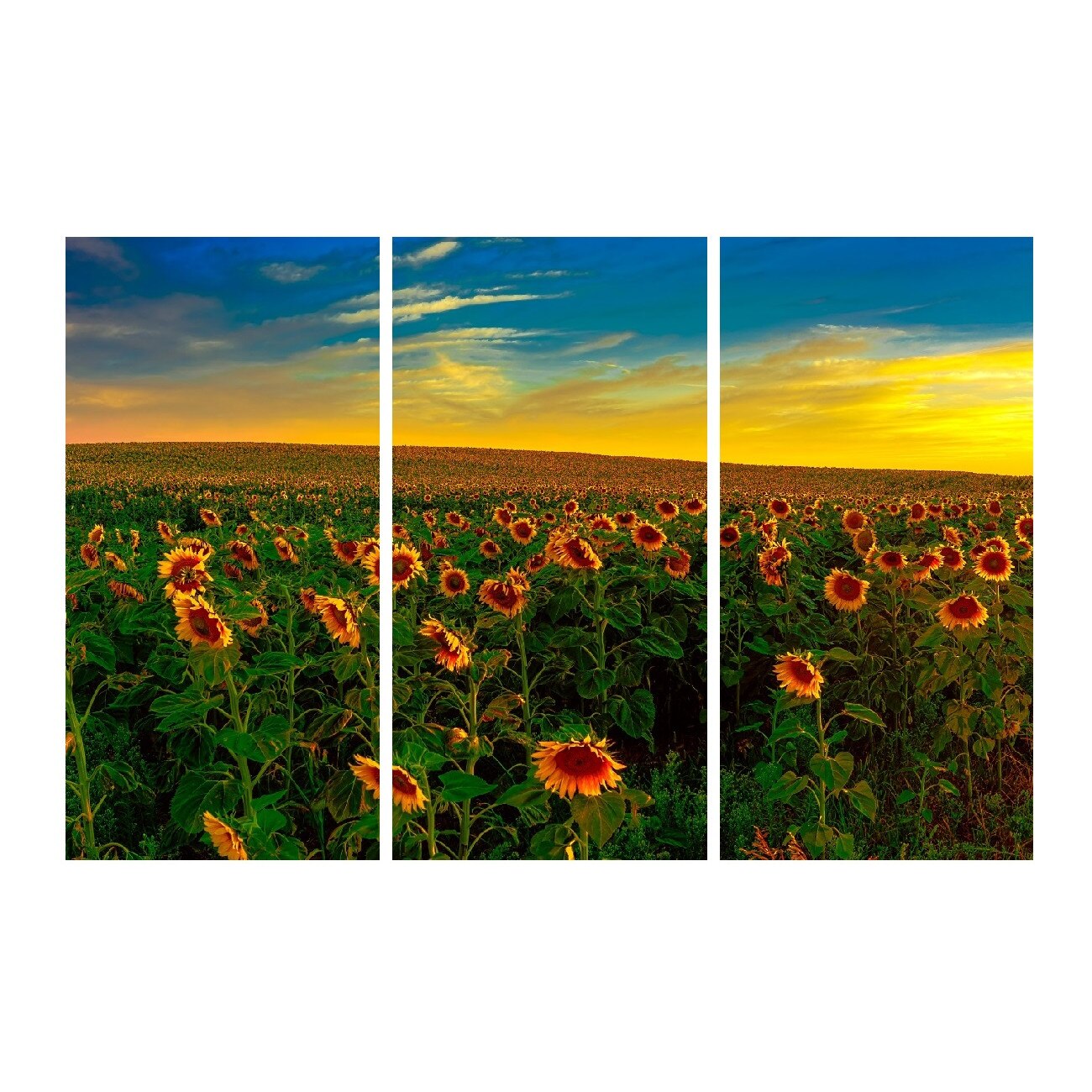 Tablou multicanvas 3 piese Flori 13, 120 x 80 cm