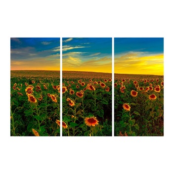 Tablou multicanvas 3 piese Flori 13, 120 x 80 cm Tablou multicanvas 3 piese Flori 13, 120 x 80 cm