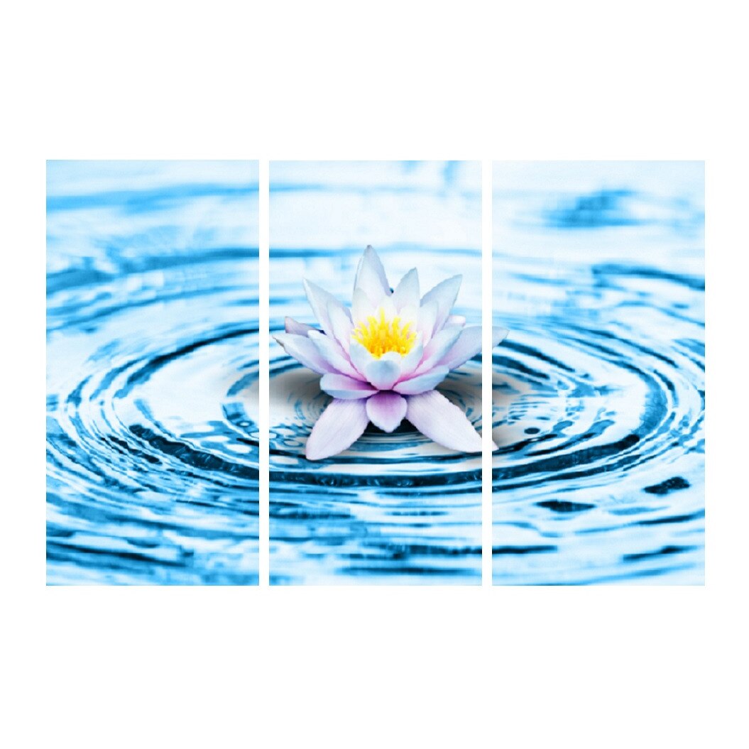Tablou multicanvas 3 piese Flori 6, 120 x 80 cm