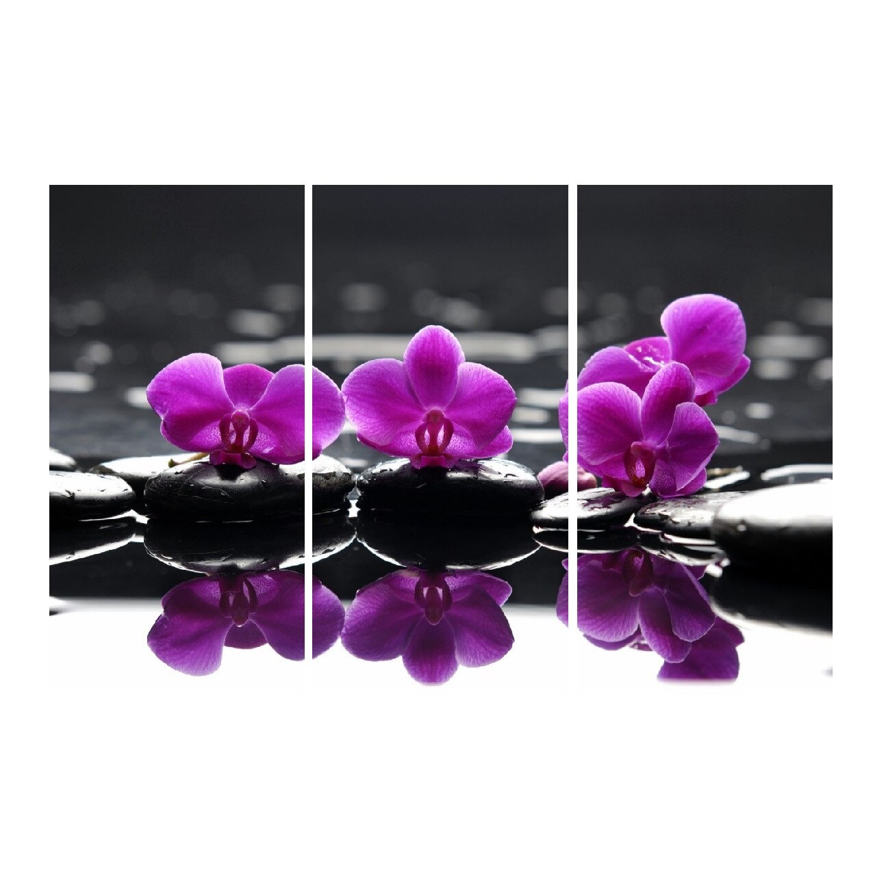 Tablou multicanvas 3 piese Flori 9, 120 x 80 cm