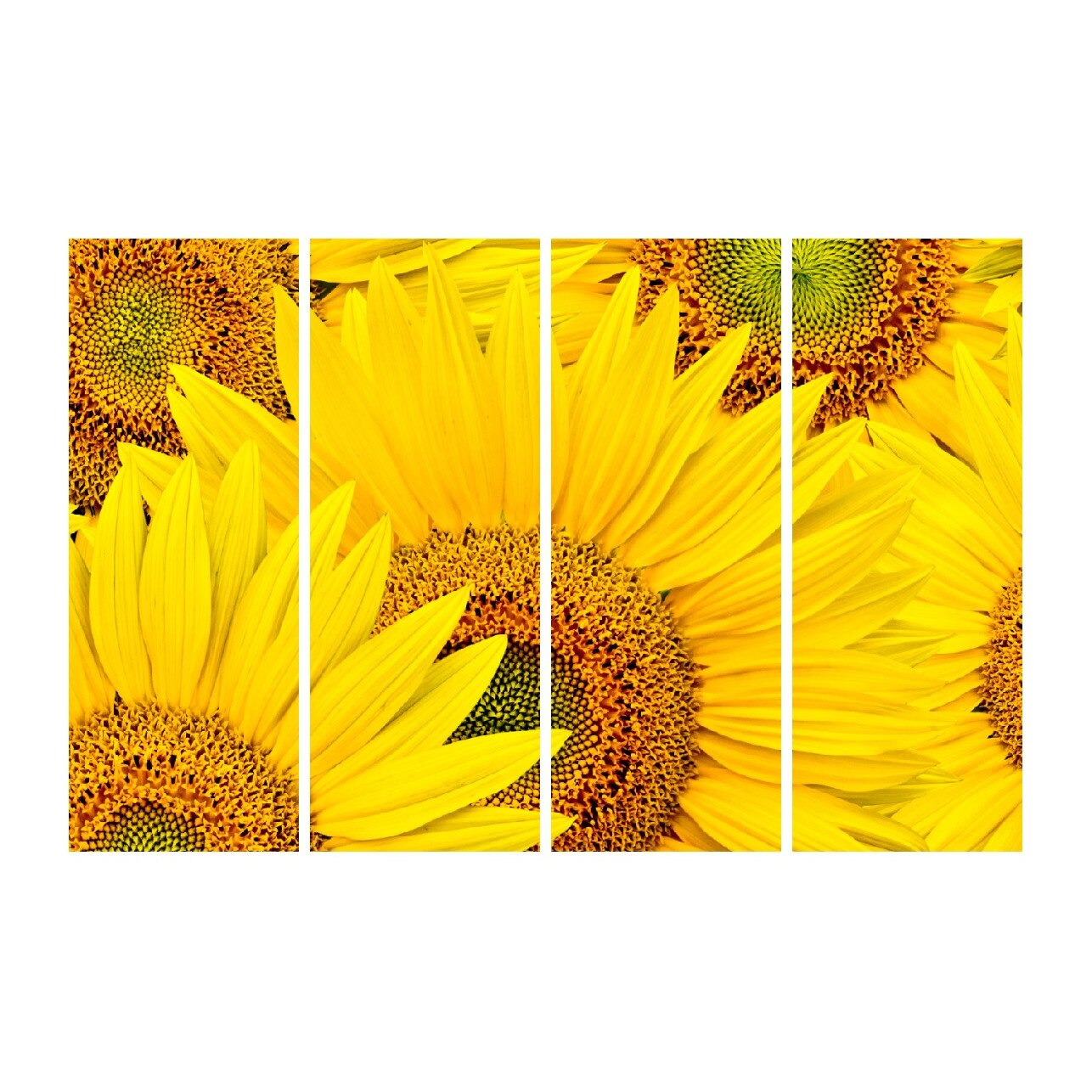 Tablou multicanvas 4 piese Flori 2, 120 x 85 cm