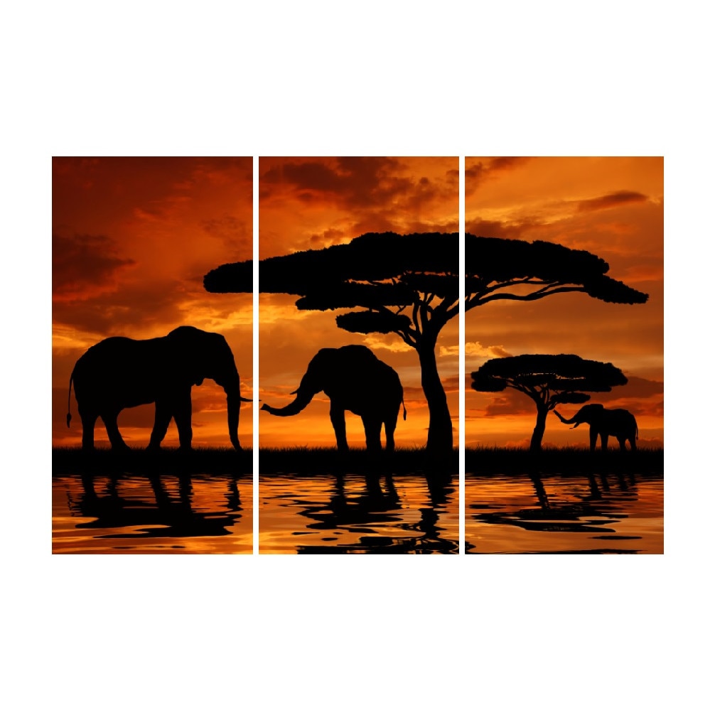Tablou multicanvas 3 piese Elefanti 2, 120 x 80 cm