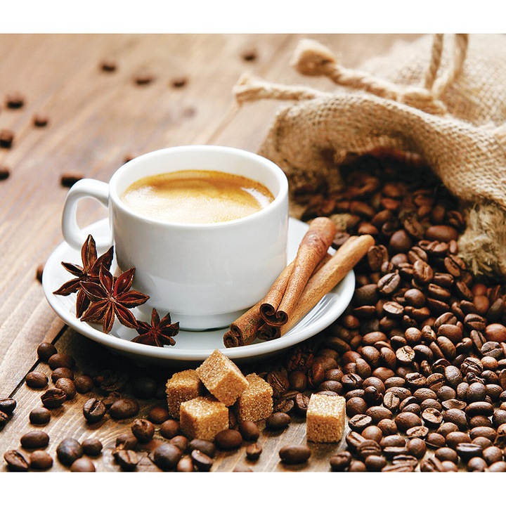 Panou decorativ din sticla securizata pentru bucatarie, protectie aragaz, antistropire, sticla securizata 6mm, Print UV, octopus, imprimata Multicolor, 750mmx650mm oct101-75x65