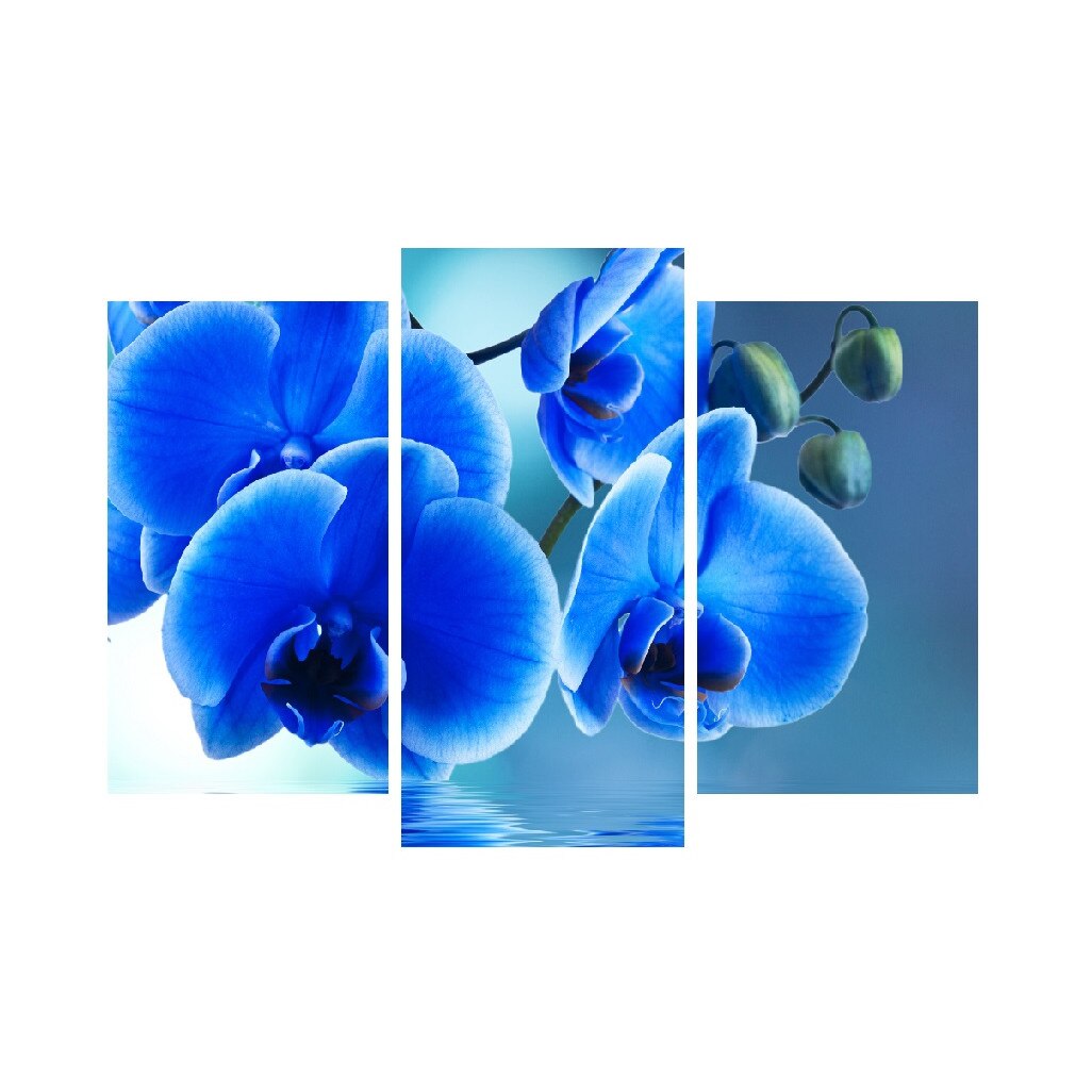 Tablou multicanvas 3 piese Flori 16, 120 x 85 cm
