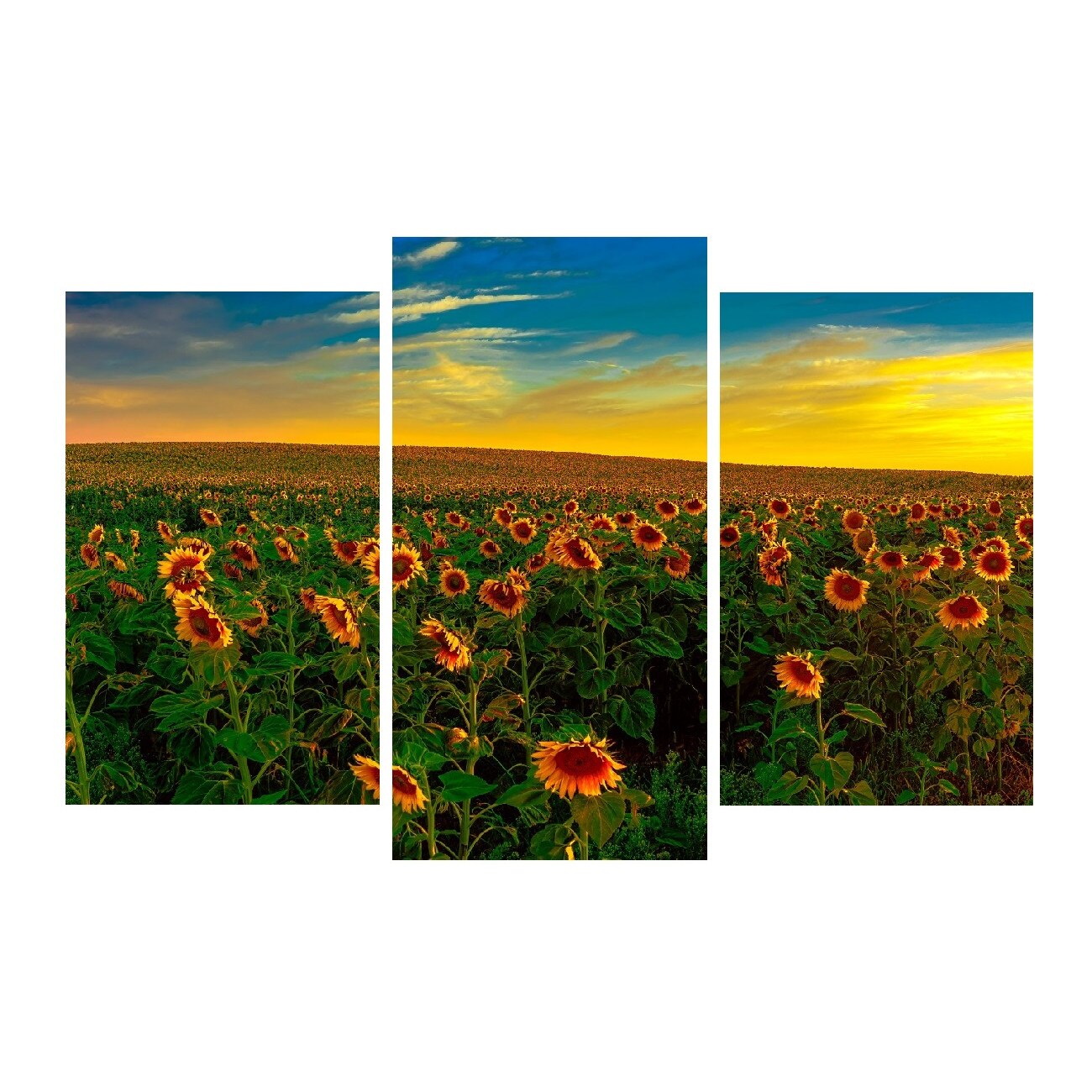 Tablou multicanvas 3 piese Flori 10, 120 x 85 cm