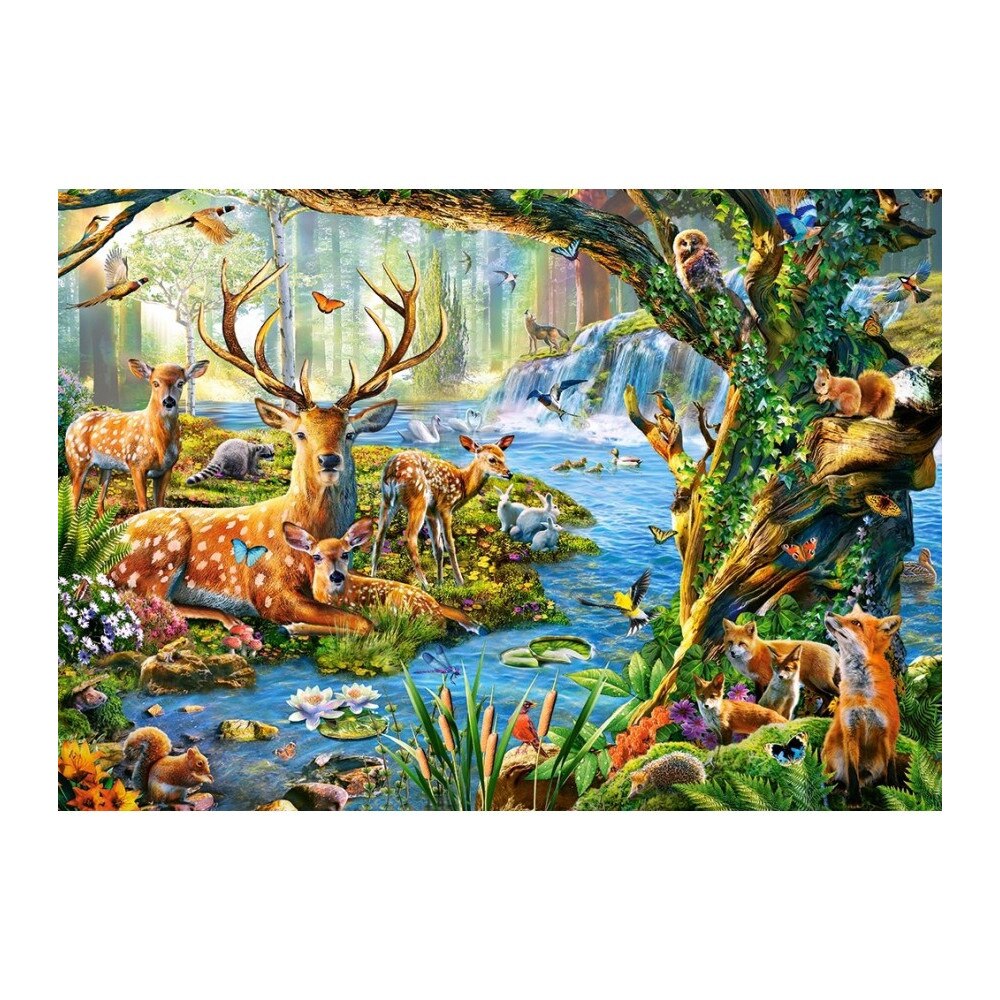 Puzzle Castorland 500 Adrian Chesterman: Forest life