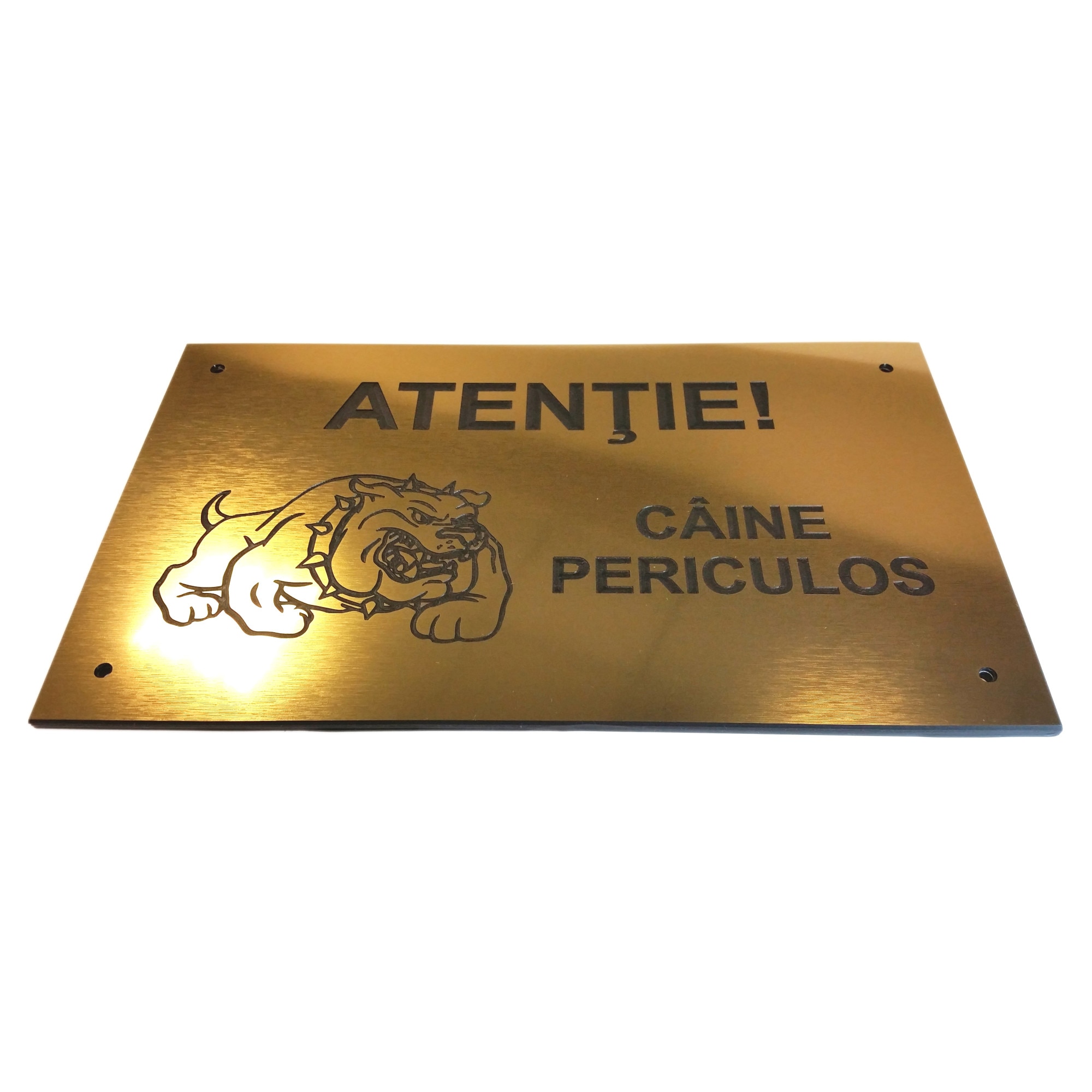 Placa atentionare Caine Periculos (uriu/negru)