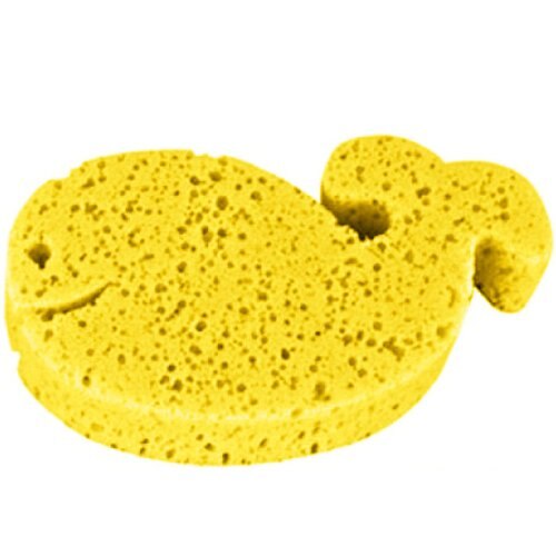 Bureti baie, peste galben, Canpol, 43/104