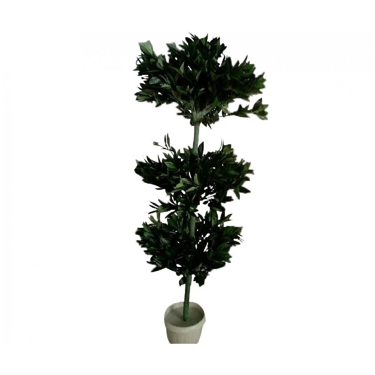 Dafin 3 etaje, Baron, Verde, 170cm