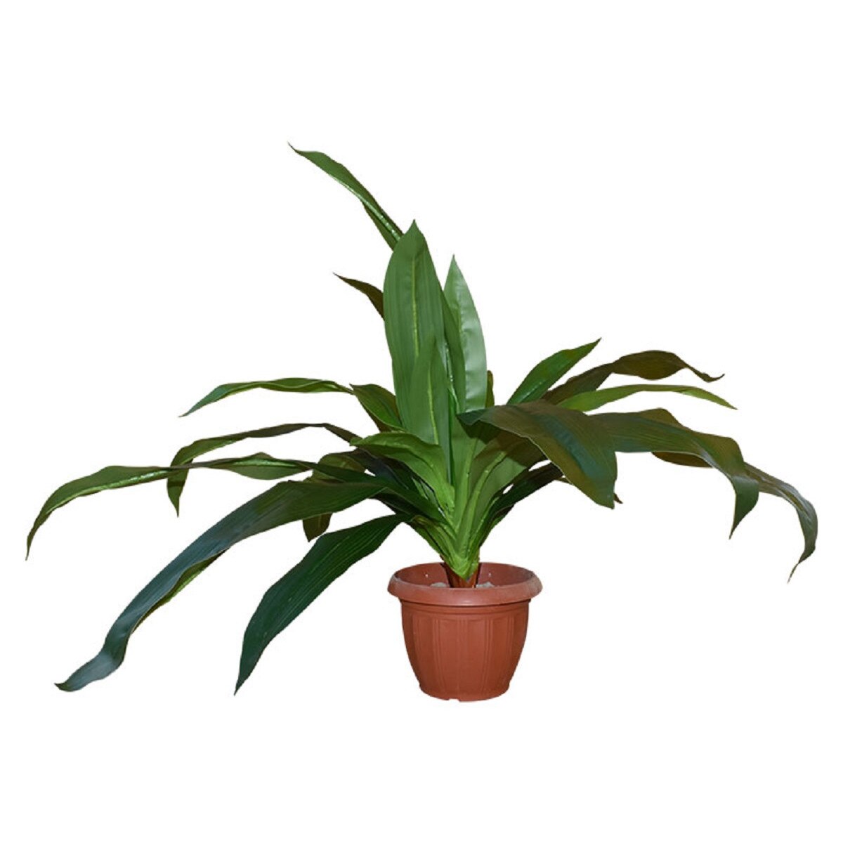 Yucca Simpla Artificiala, Baron, Verde, 80cm