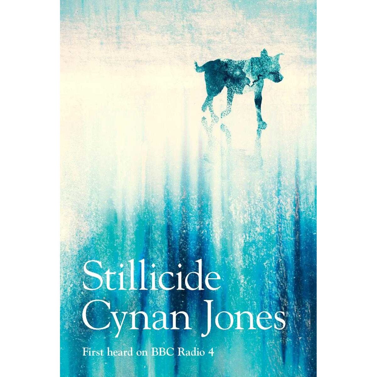 Stillicide - Cynan Jones, editia 2019