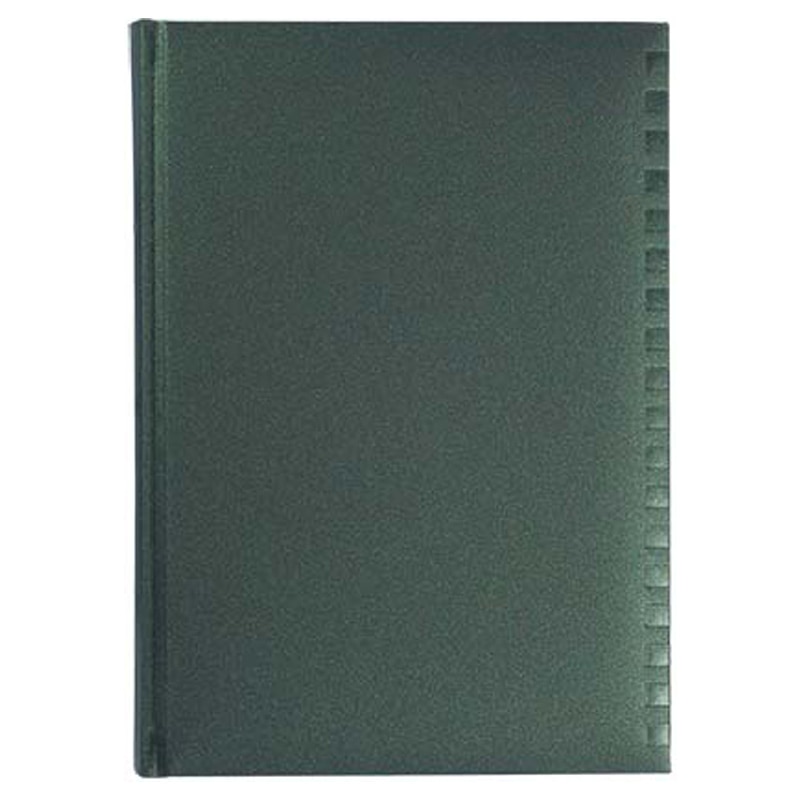 Agenda LUX piele ecologica , 17x24 cm, interior ivory ,nedatata, verde