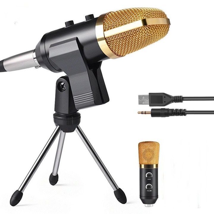 Microfon Condensator Pentru Studio Cu Suport Metalic