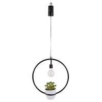 Lampa decorativa suspendata in forma de cerc cu planta artificiala, E27