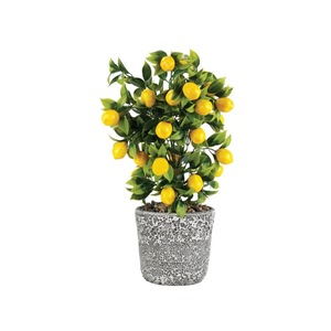 Cauți Cu In Fructe Ghiveci Portocal Alege Din Oferta Emag Ro