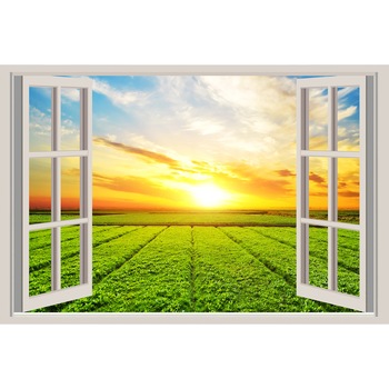 Cauți Soare Sticker Rasarit Alege Din Oferta Emag Ro