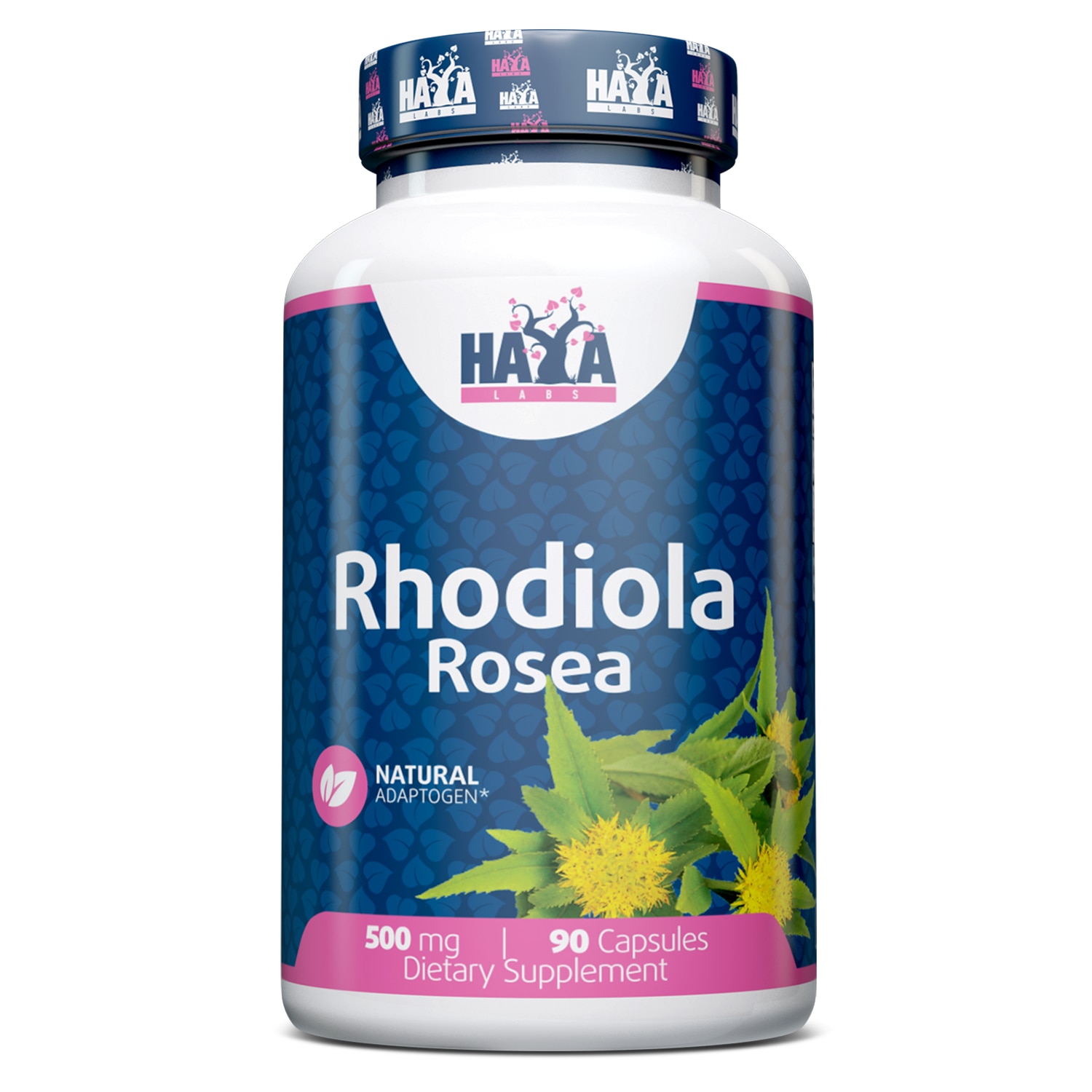 Extract De Plante Din Radacina De Aur Haya Labs Rhodiola Rosea Extract 500 Mg 90 Capsle