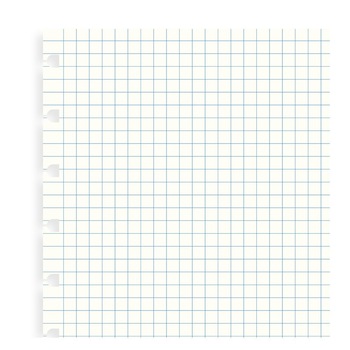 Rezerva hartie FILOFAX matematica 32 buc/set A5 compatibila Notebook Filofax Rezerva hartie FILOFAX matematica 32 buc/set A5 compatibila Notebook Filofax