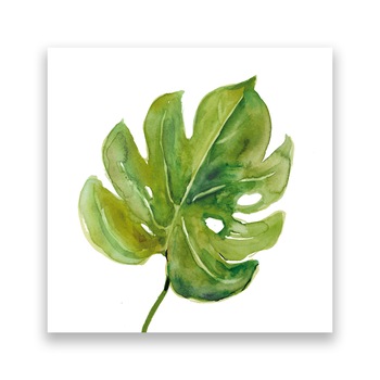 Tablou Canvas - Botanica, Frunza, Verde, 100 x 100 cm Tablou Canvas - Botanica, Frunza, Verde, 100 x 100 cm