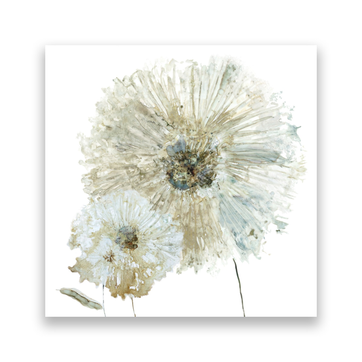 Tablou Canvas - Floral, Flori, Papadie, Pictura, Alb, 100 x 100 cm