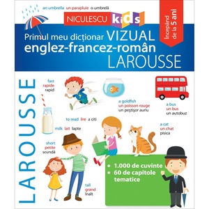 Dictionar Roman Francez Alege Produsele Potrivite Emag Ro