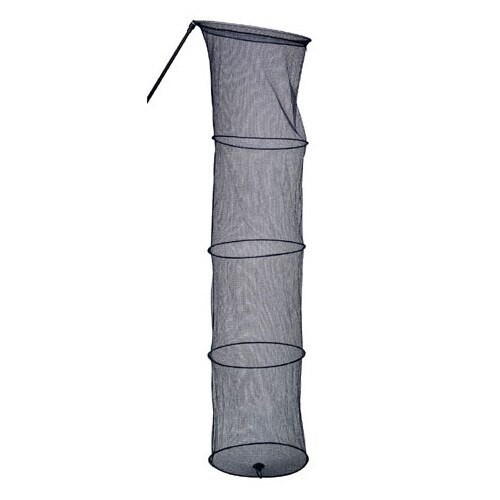 Juvelnic Concurs Nevis Match Rotund 2m