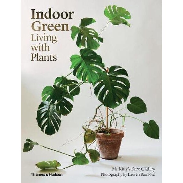 Indoor Green, Kitly's Bree Claffey,‎ Lauren Bamford