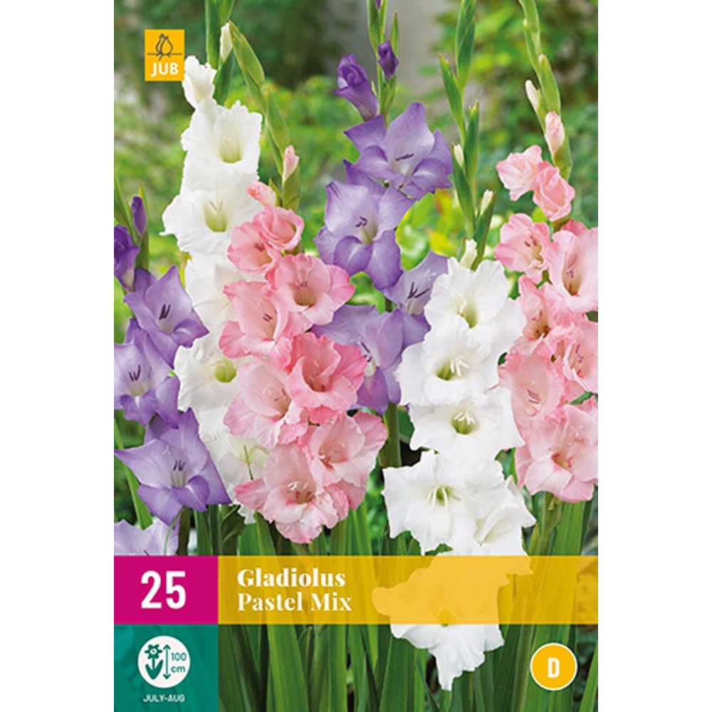 Bulbi Gladiole Pastel Mix, Holland, XL Pack, 25 buc