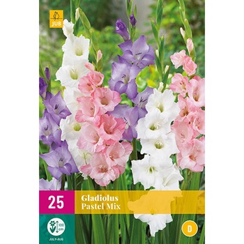 Bulbi Gladiole Pastel Mix, Holland, XL Pack, 25 buc Bulbi Gladiole Pastel Mix, Holland, XL Pack, 25 buc
