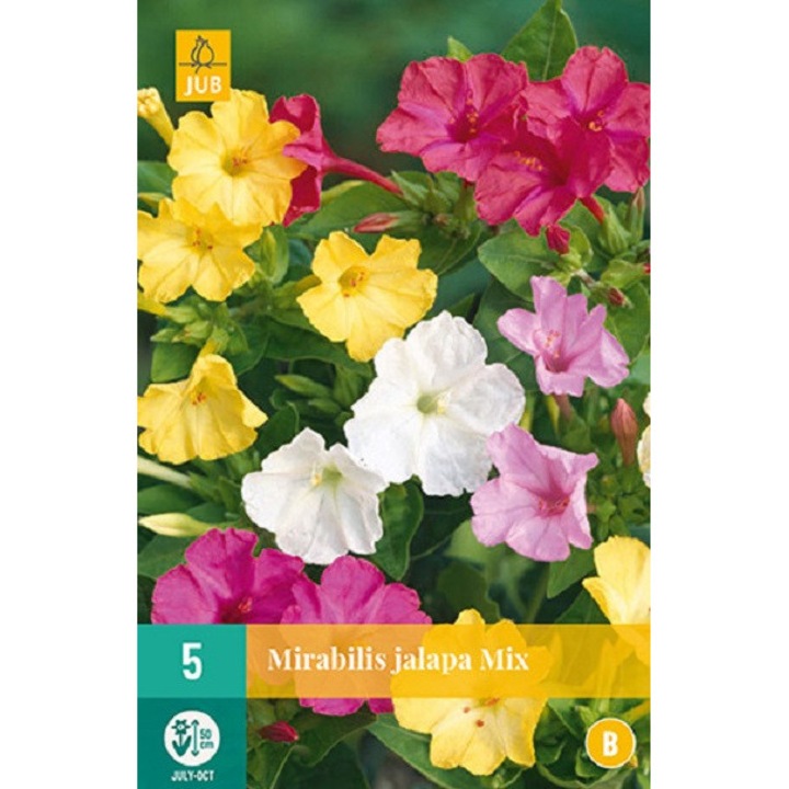 Bulbi, Mirabilis Japala Mix, Jub Holland, 5 buc