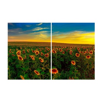 Tablou multicanvas 2 piese Flori 13, 100 x 70 cm Tablou multicanvas 2 piese Flori 13, 100 x 70 cm