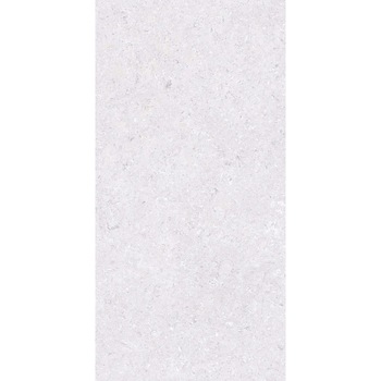 Faianta 4618 PALAZZO LIGHT GREY 30x60 cm 1.63 MP/cutie Faianta 4618 PALAZZO LIGHT GREY 30x60 cm 1.63 MP/cutie