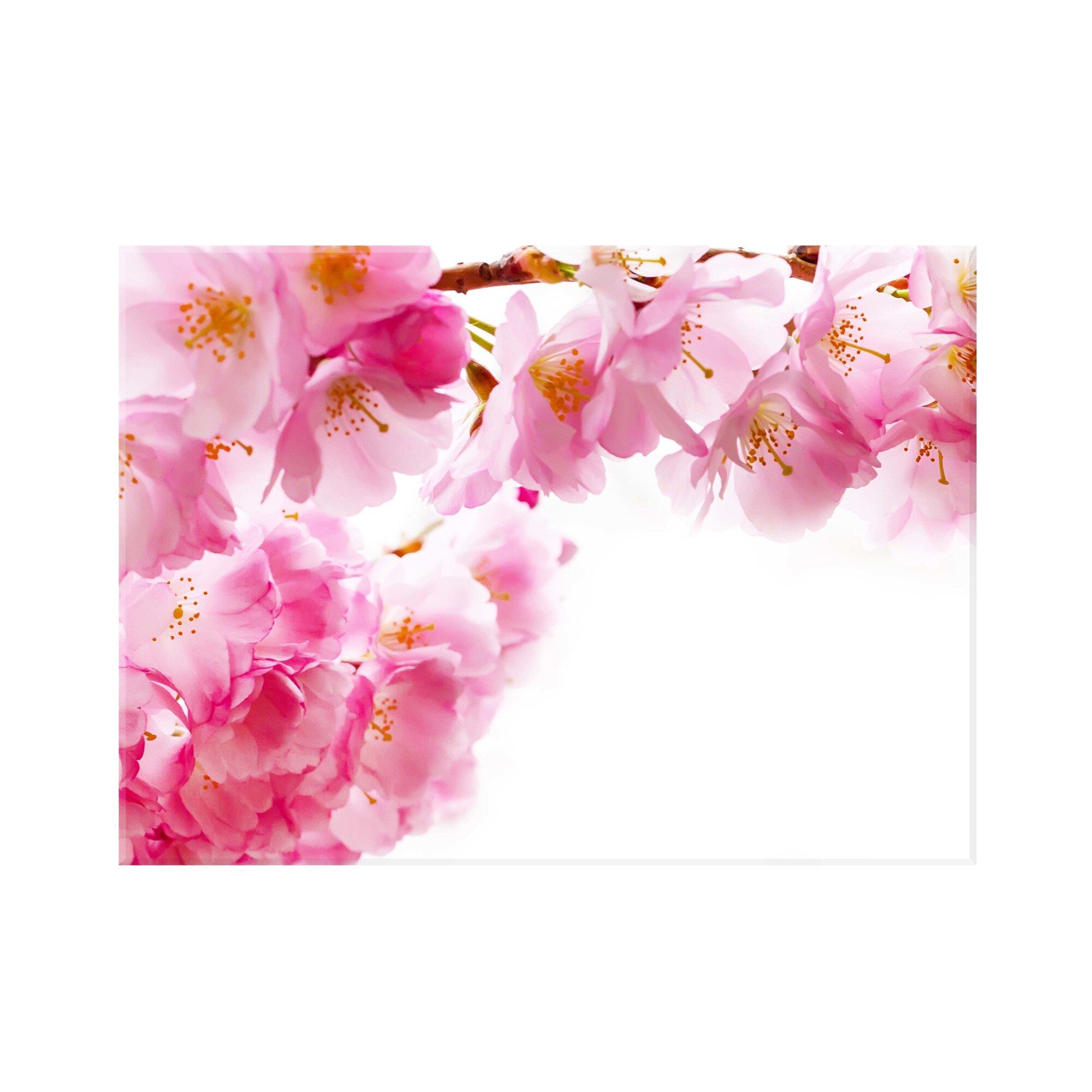 Sticla bucatarie securizata Saint Gobain Glass®, imprimata 90x65cm, protectie antistropire pentru aragaz, Ambra Deco, Flori cires