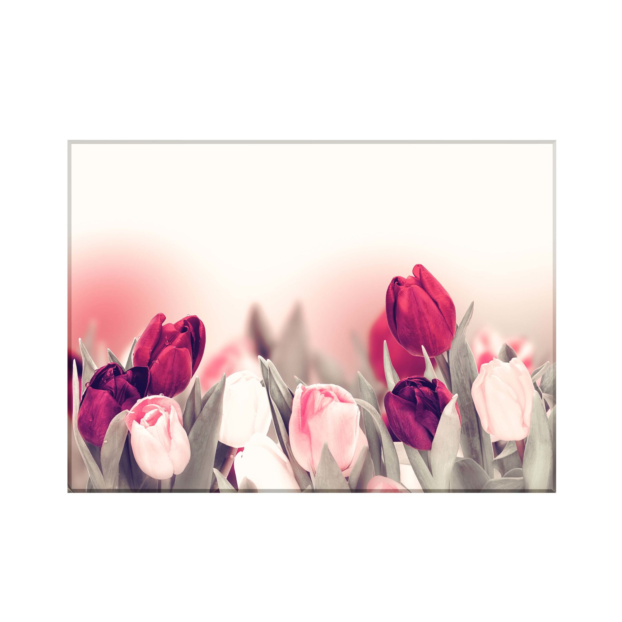 Sticla bucatarie securizata Saint Gobain Glass®, imprimata 90x65cm, protectie antistropire pentru aragaz, Ambra Deco, Lalele