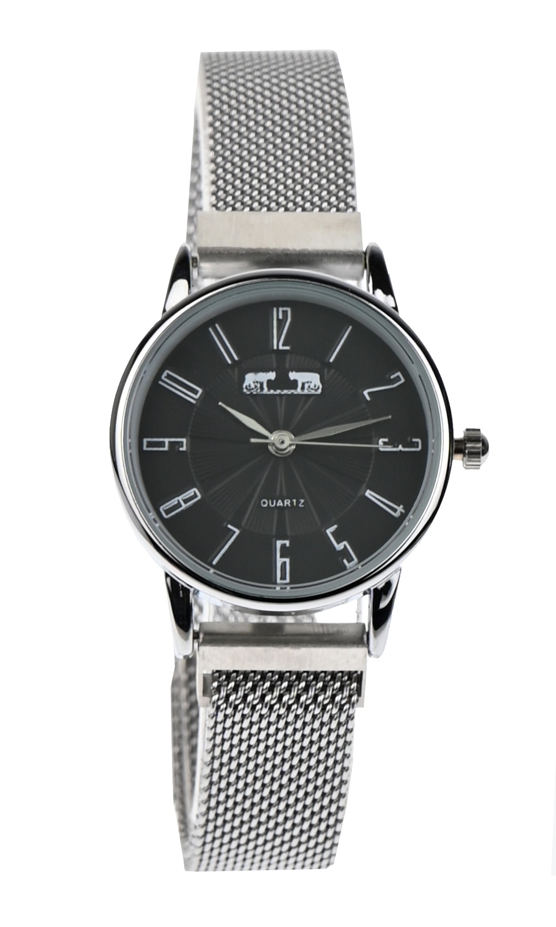 Ceas dama Matteo Ferari casual-elegant, ARGINTIU - MF172LBSILVER