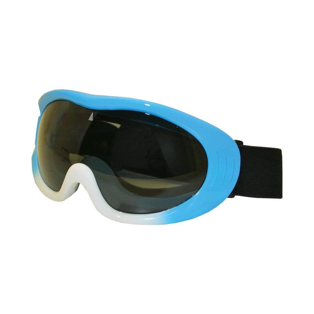 Ochelari schi sticla dubla VISION Albastru/Alb