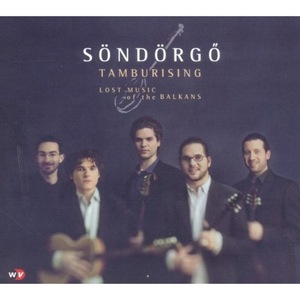 Vinyl-uri si cd-uri muzica